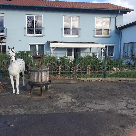 Grosse 3 Zi Wohnung Auf Der Pferde Farm Lahr  Εξωτερικό φωτογραφία
